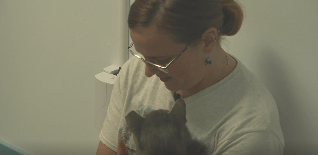 Laura Moody on WZZM13 about her new cat adoption center in Grand Rapids Michigan