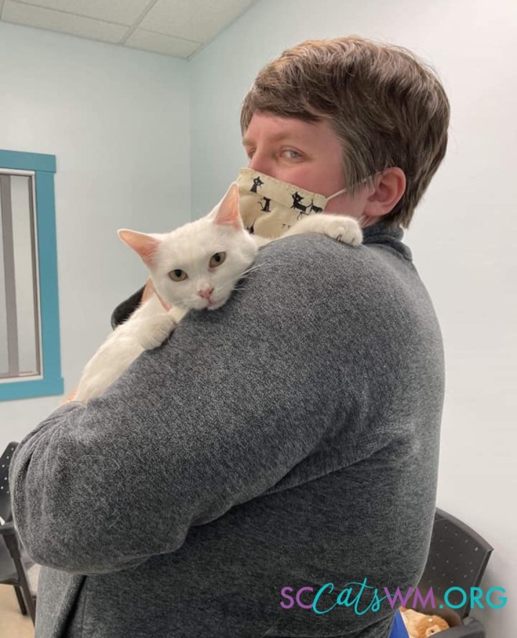 A volunteer gently holding Larry, a once-shy kitten who has since blossomed into a confident cat, symbolizing his heartwarming transformation and the impact of Second Chance Cats. Larry now has a room named in his honor.