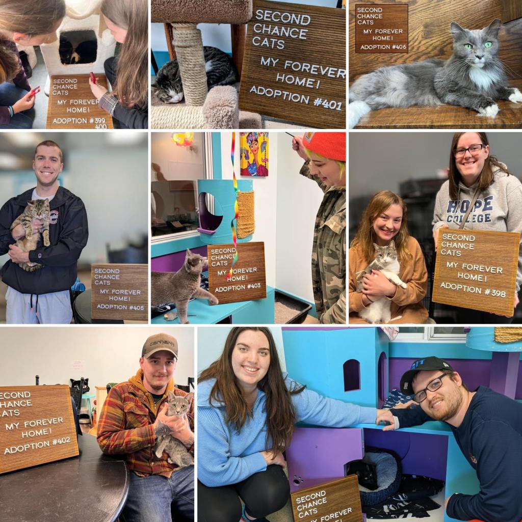 cat adoptions in Grand Rapids Michigan