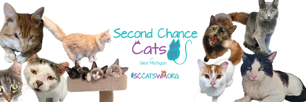 Second Chance Cats of West Michigan