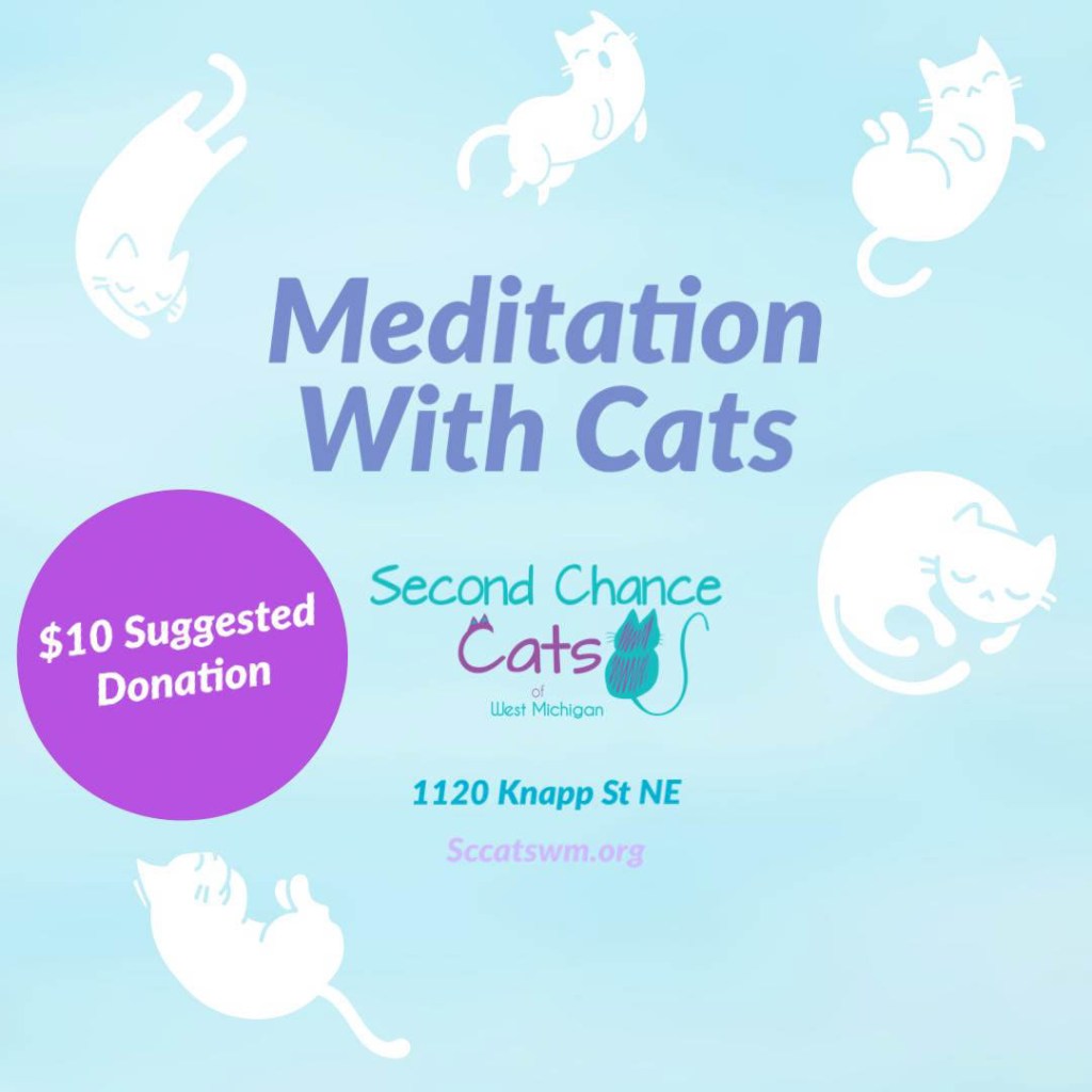 meditation with cats events