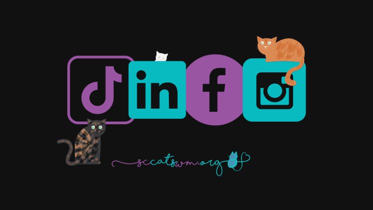 local social media profiles that feature cats for adoption in Grand Rapids Michigan