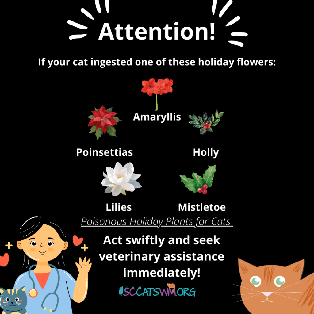 cat poisonous holiday plants