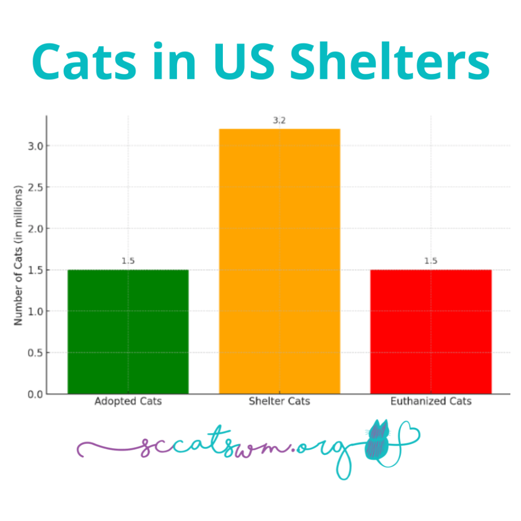 cats in shelters statistics 2024