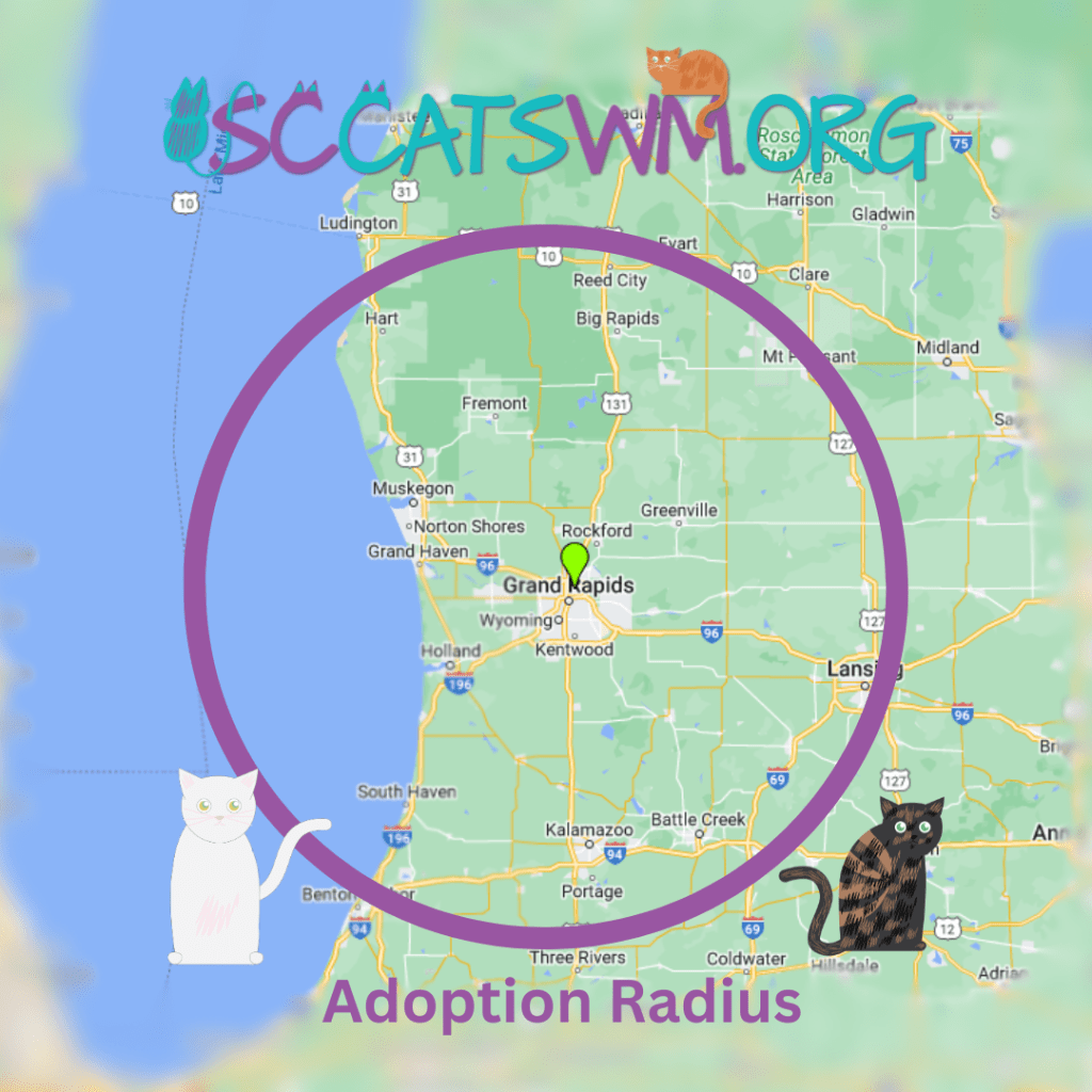 Second Chance Cats of West Michigan Adoption Radius