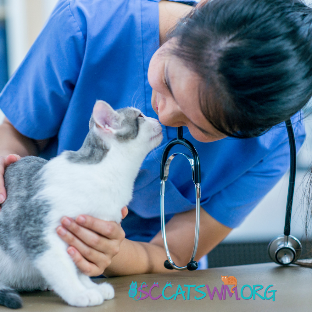 Lack of Initial Veterinary Care