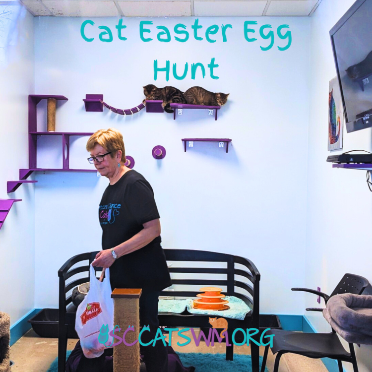 cat easter egg hunt near me grand rapids michigan
