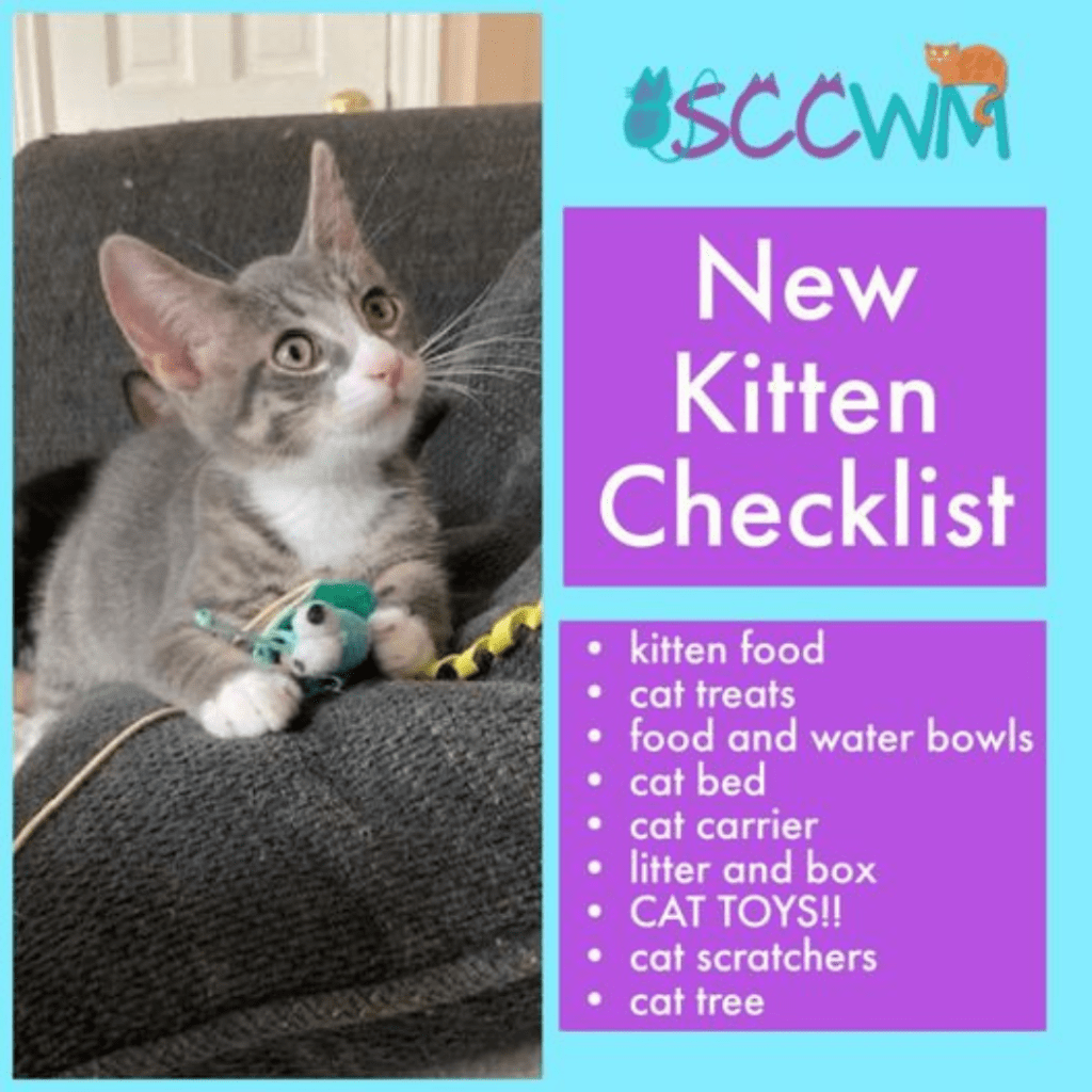 New kitten checklist, Seeking Reputable Rescue Organizations