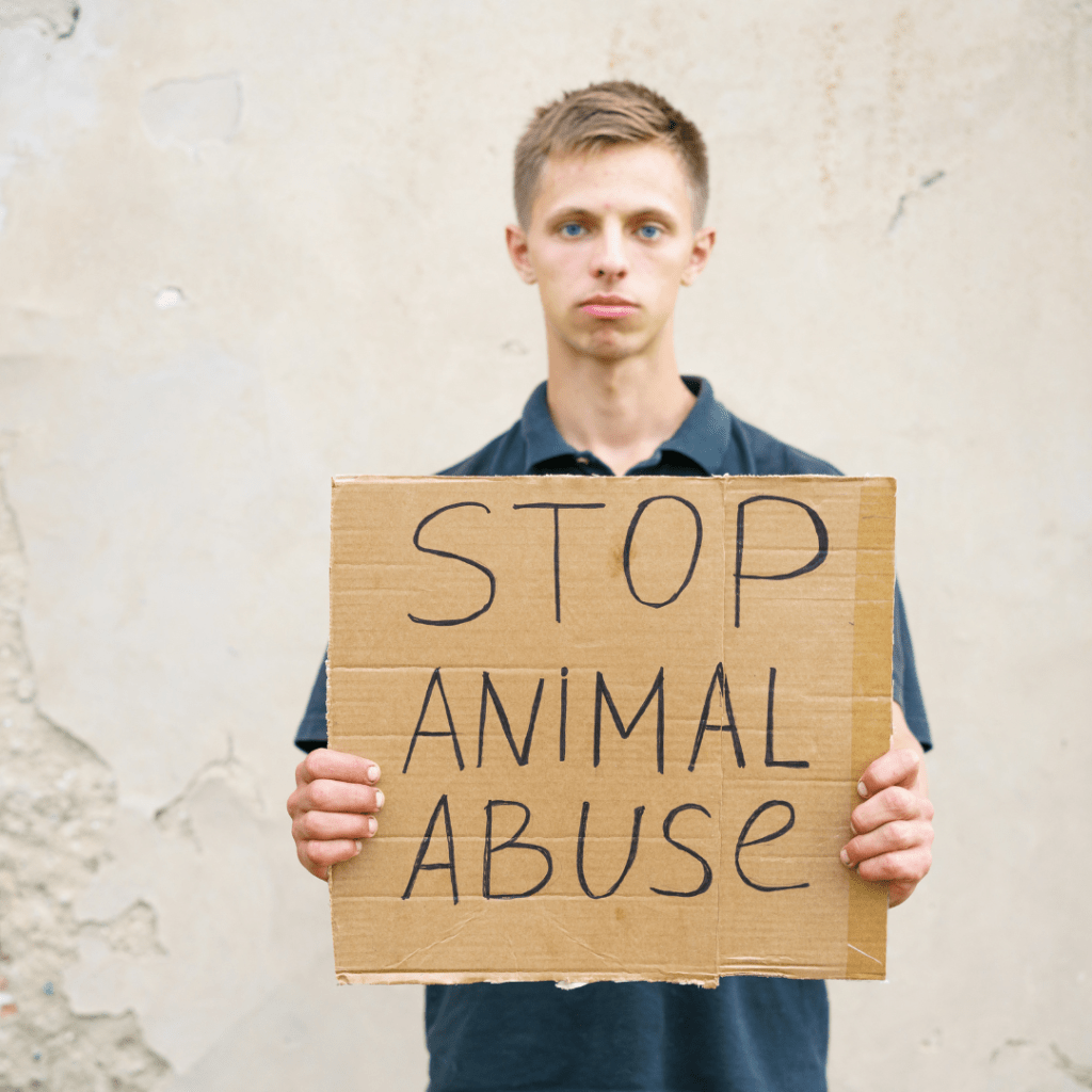 The Potential for Animal Abuse, Stop animal abuse