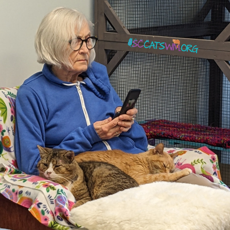 getting comfortable with kitties at Second Chance Cats