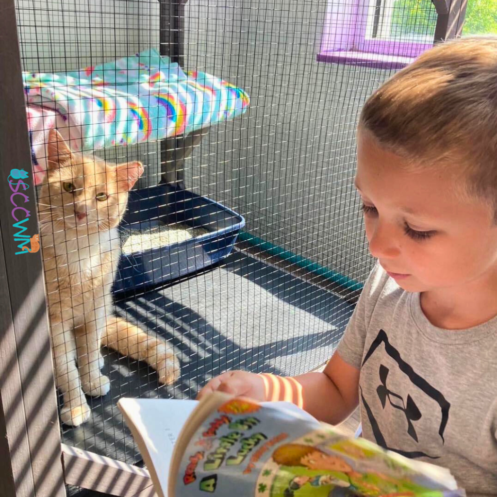 cat lounge event grand rapids michigan