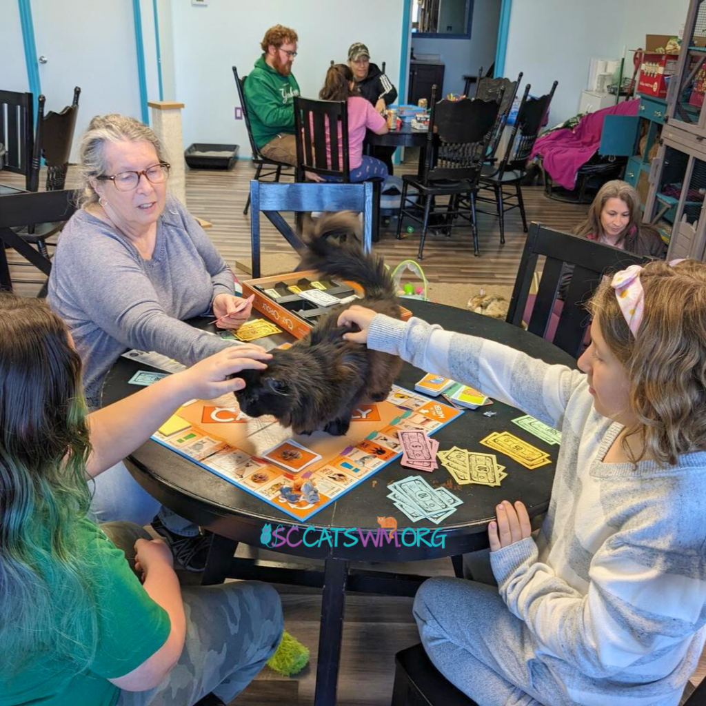game night event grand rapids michigan with cats