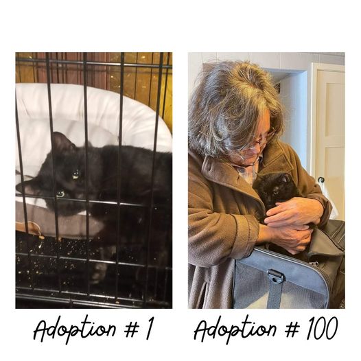 A joyful moment captured during the 100th adoption at Second Chance Cats, with the adopter smiling and holding their newly adopted cat, marking a significant milestone for the rescue center.