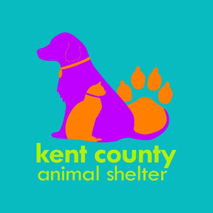 kent county animal shelter west michigan (